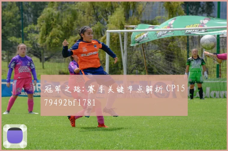 冠军之路:赛季关键节点解析 CP1579492bf1781